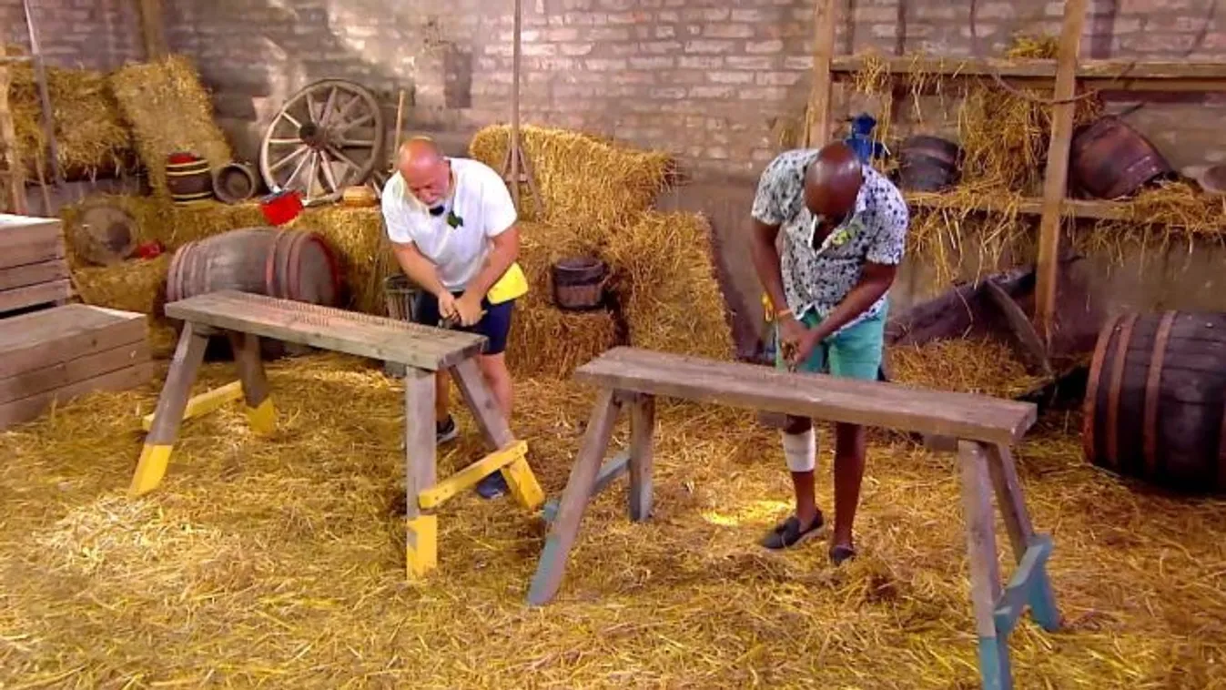 Sárgáktól távozott egy kiseső a Farm VIP-ben