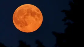 Szegedi Erika felfedte: ennek a csillagjegynek hoz a márciusi holdfogyatkozás igaz szerelmet