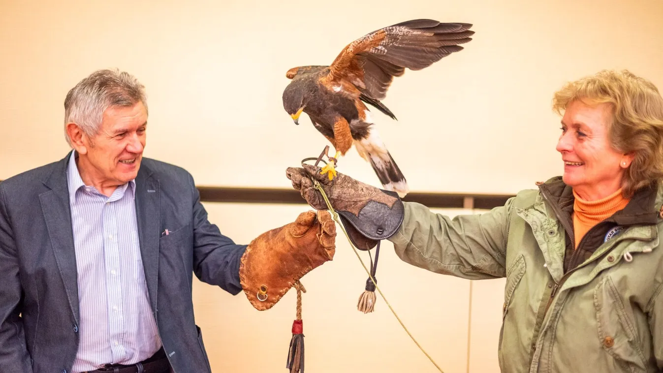 Különös módszert találtak ki varjak ellen ebben a városban