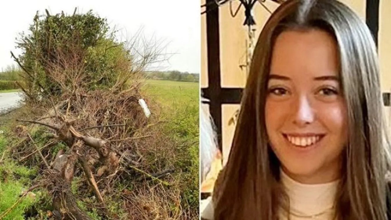 Halálba vitte három barátját a tinédzser sofőr