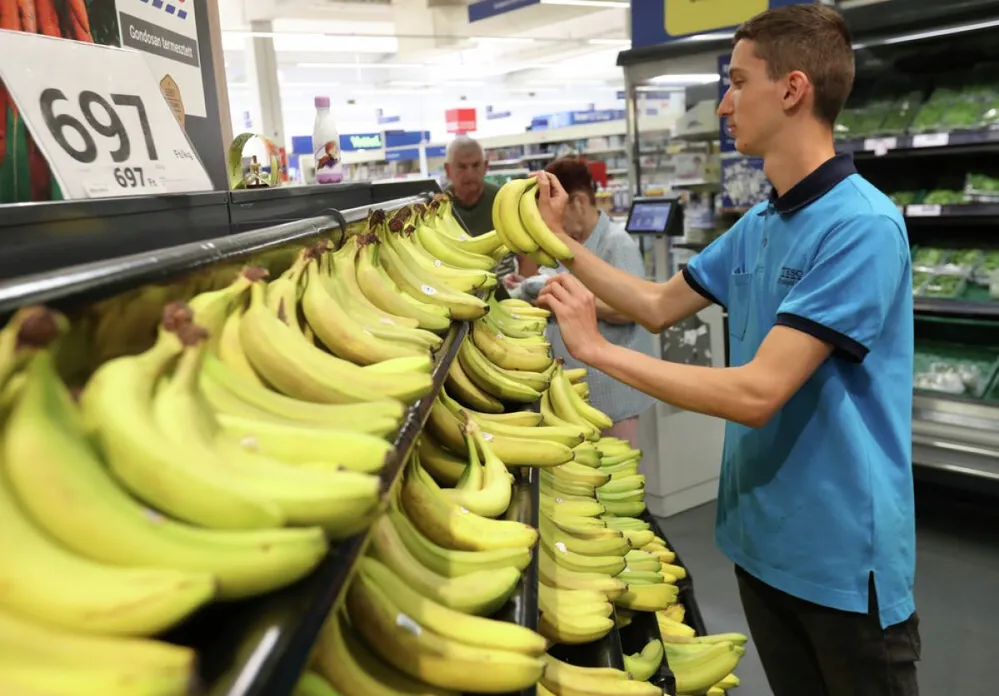 diák diákmunka nyárimunka