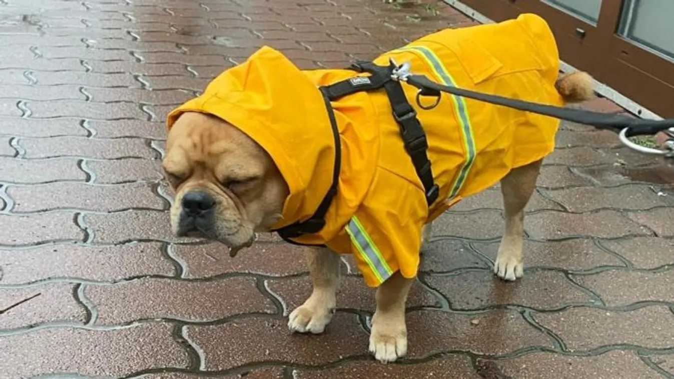 Két részre szakad az ország időjárása, de esőben nem lesz hiány
