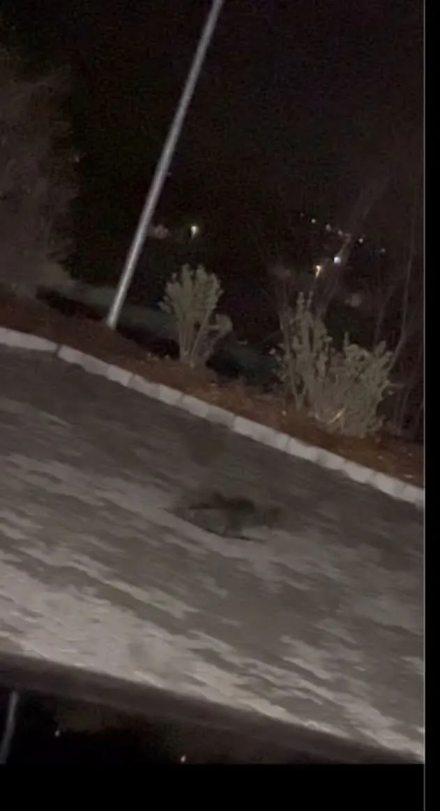 Paranormális jelenségek