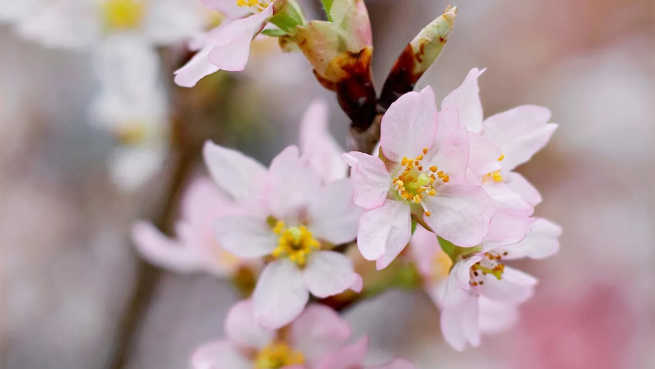 Jön Baba Marta: ilyen időt jósol elseje egész márciusra
