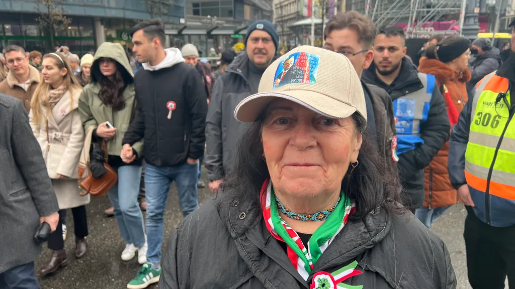 felvonulás, rendőrök