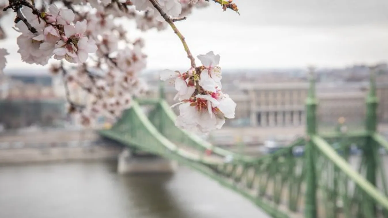 Túlestünk a nehezén: visszatér a gyönyörű tavaszi időjárás