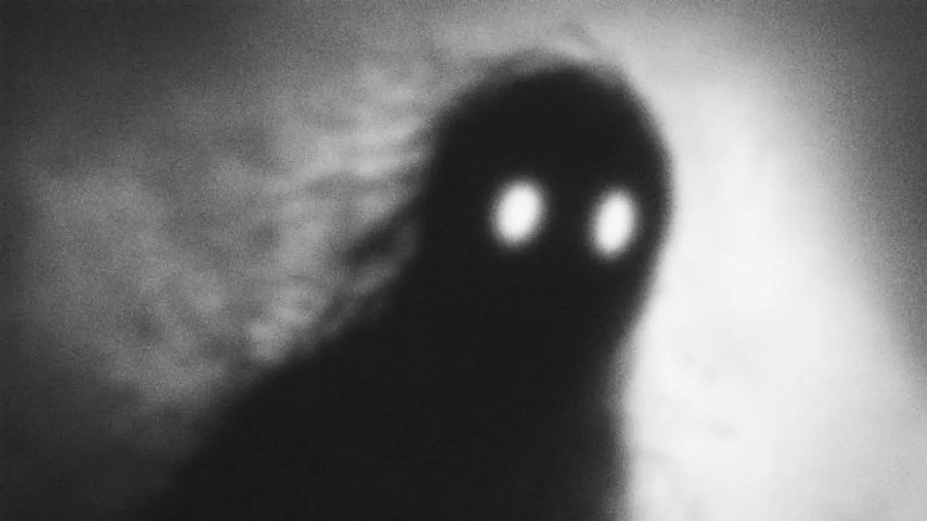 Szellem irányította Erika életét