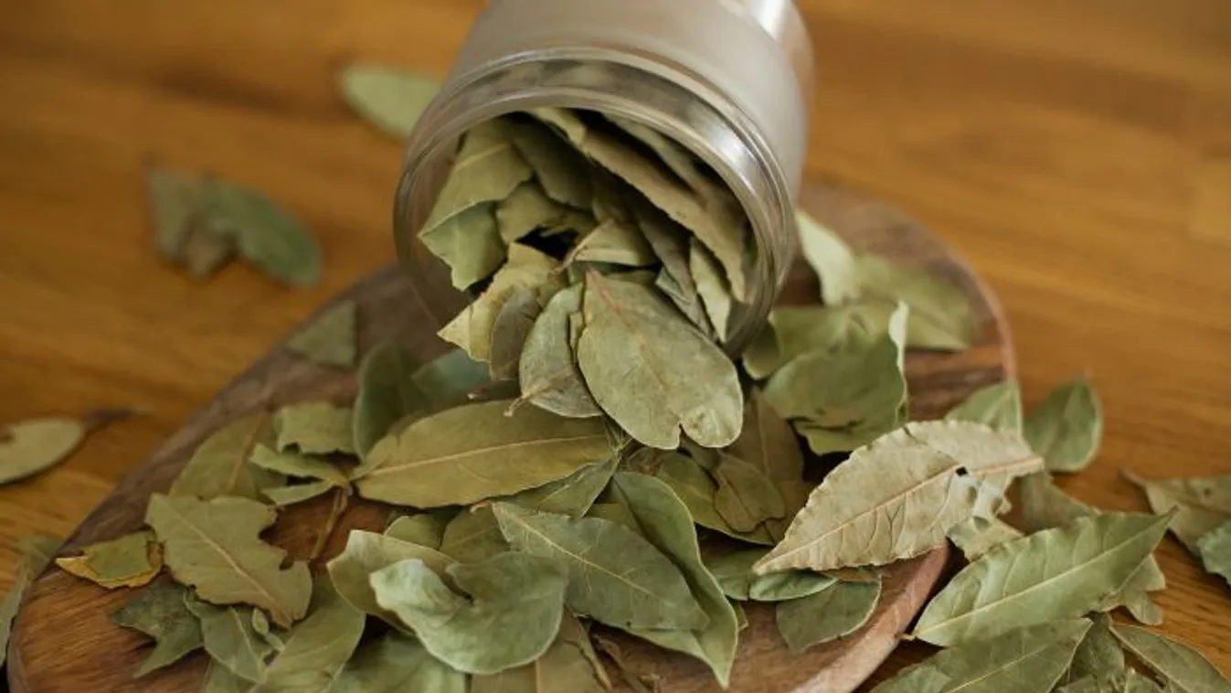 Babérlevél a vízforralóba, őrület mit művel vele