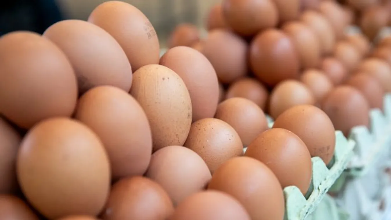 Ennyi lehet az idén a húsvéti tojás átlagára