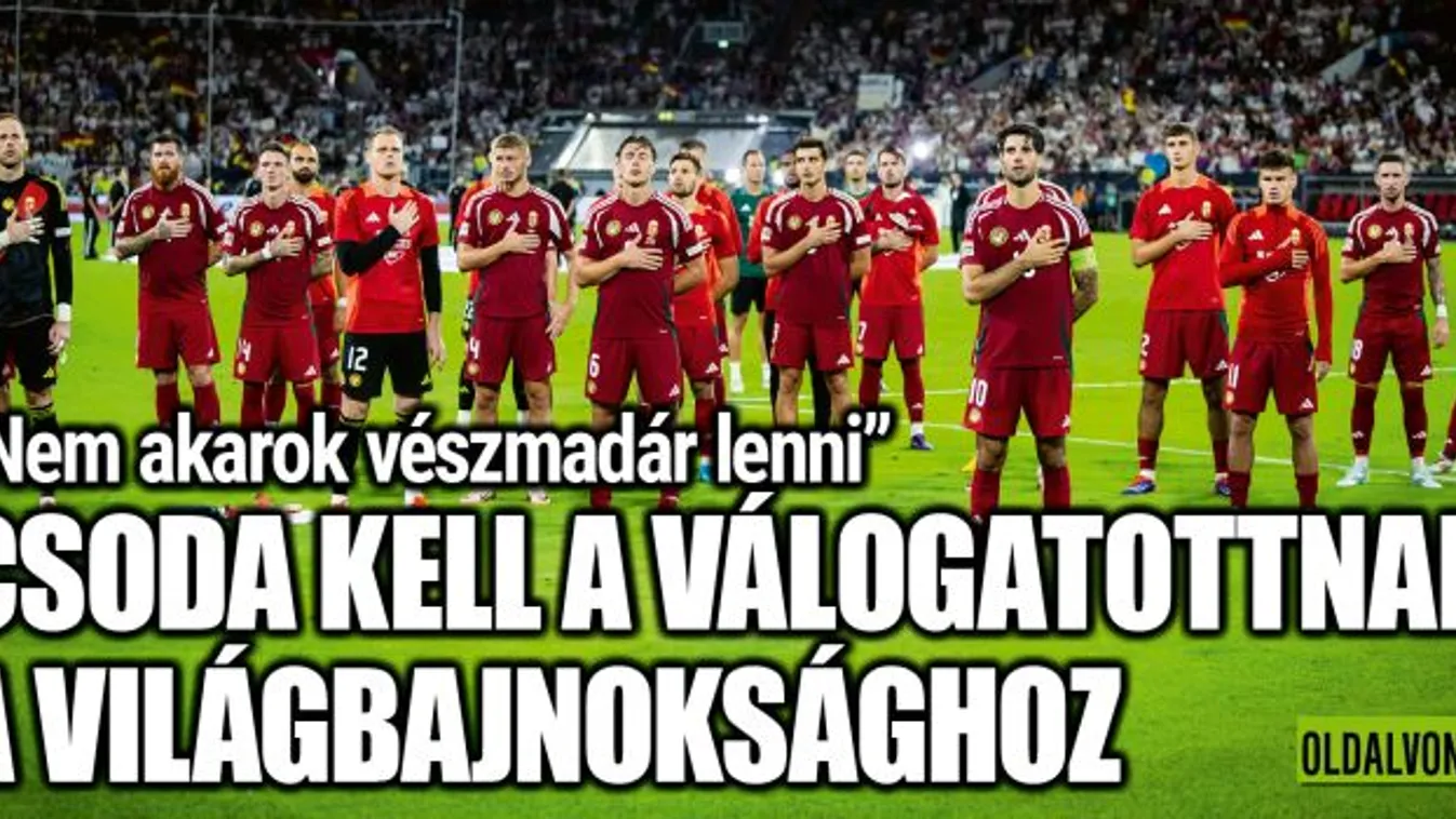 Nem bízik a világbajnokságban Bozsik Péter