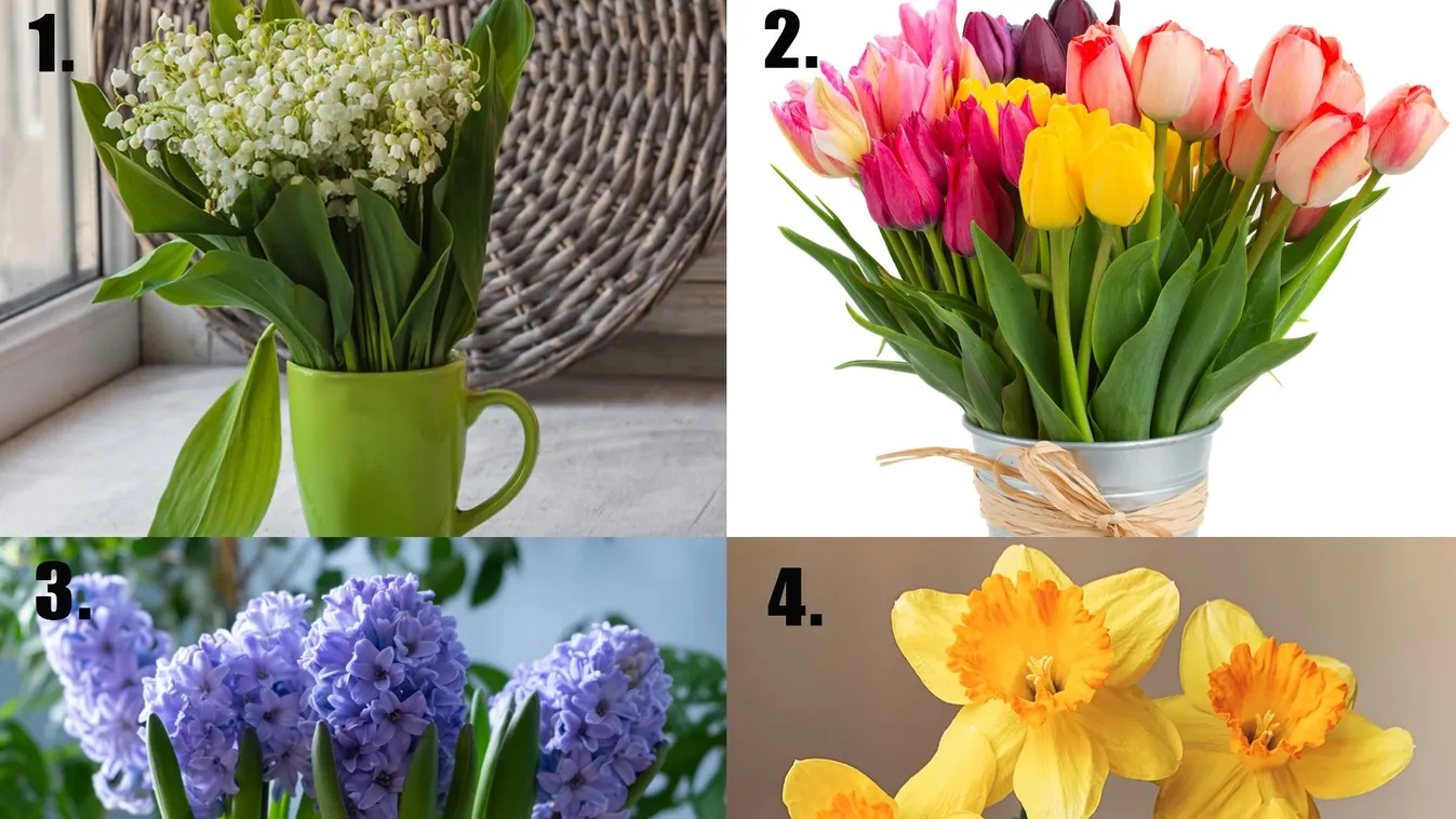 Válassz egy tavaszi virágot és kiderül, milyen istennő vagy