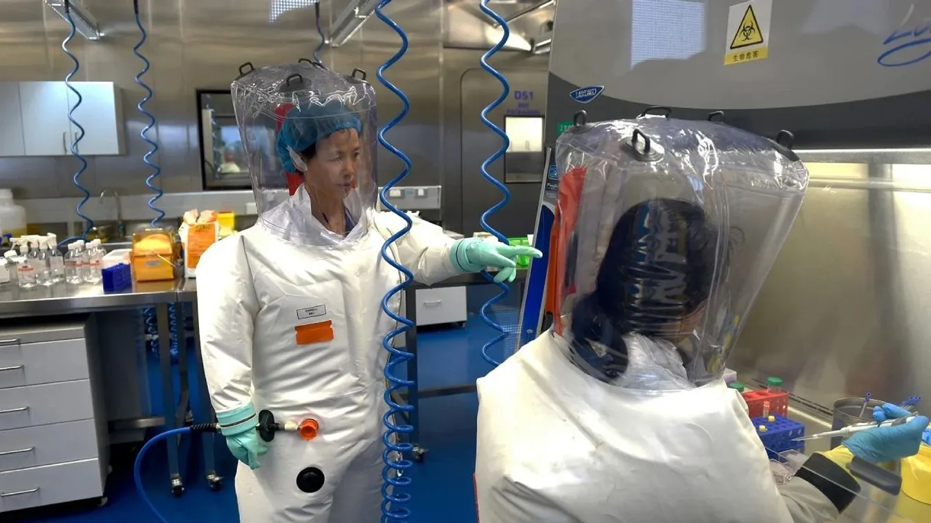 A német titkosszolgálat szerint a koronavírus laborszökevény