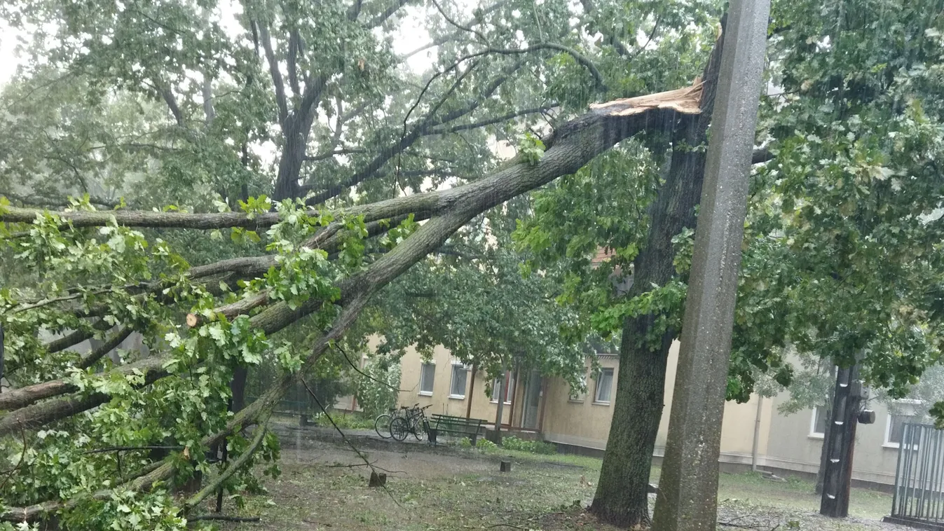 Tragédia: életet követelt a viharos szél