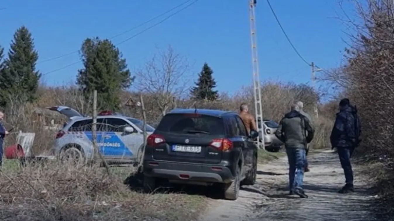 Horror: Bomló emberi fejet talált egy kutya Miskolcon