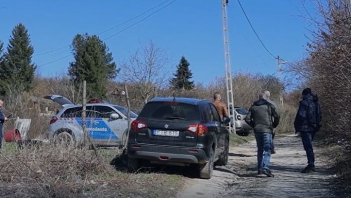 Horror: Bomló emberi fejet talált egy kutya Miskolcon