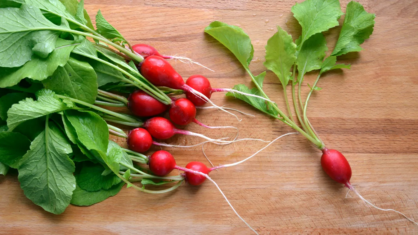 Retek levél: mutatjuk mire jó