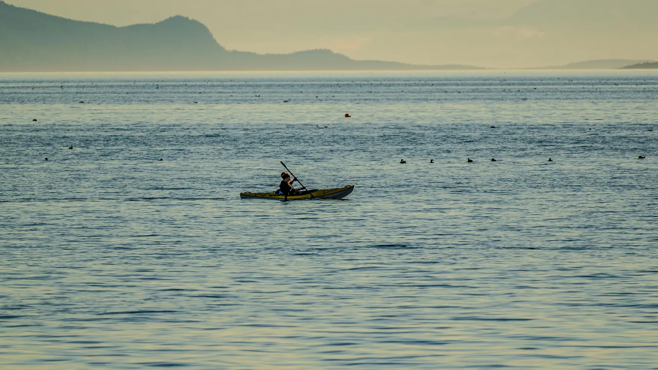 Nem érte el a mólót: holtan találtak rá az eltűnt kajakosra