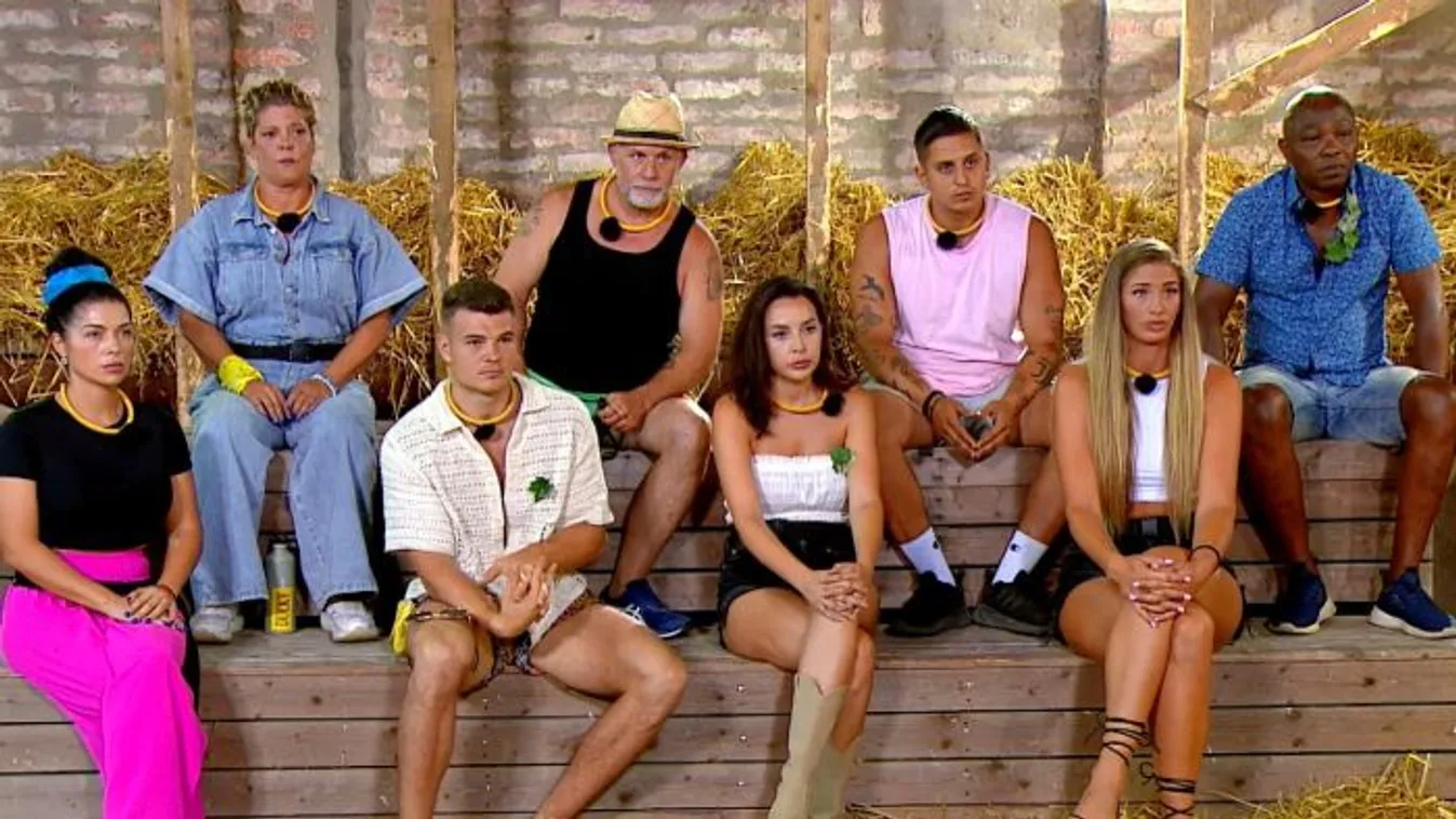 Tűz ütött ki a Farm VIP-ben!