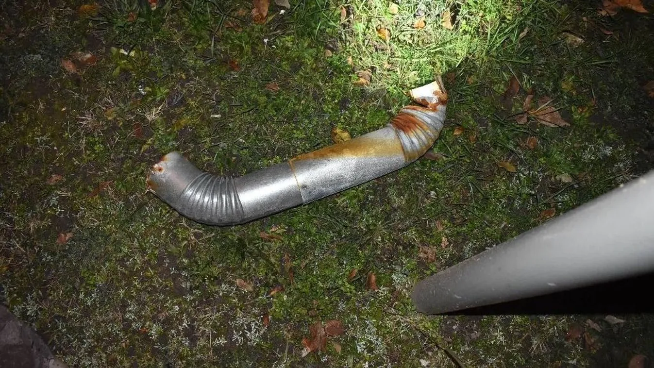 A hívatlan szakik százezrekkel rövidítették meg Zsuzsa nénit