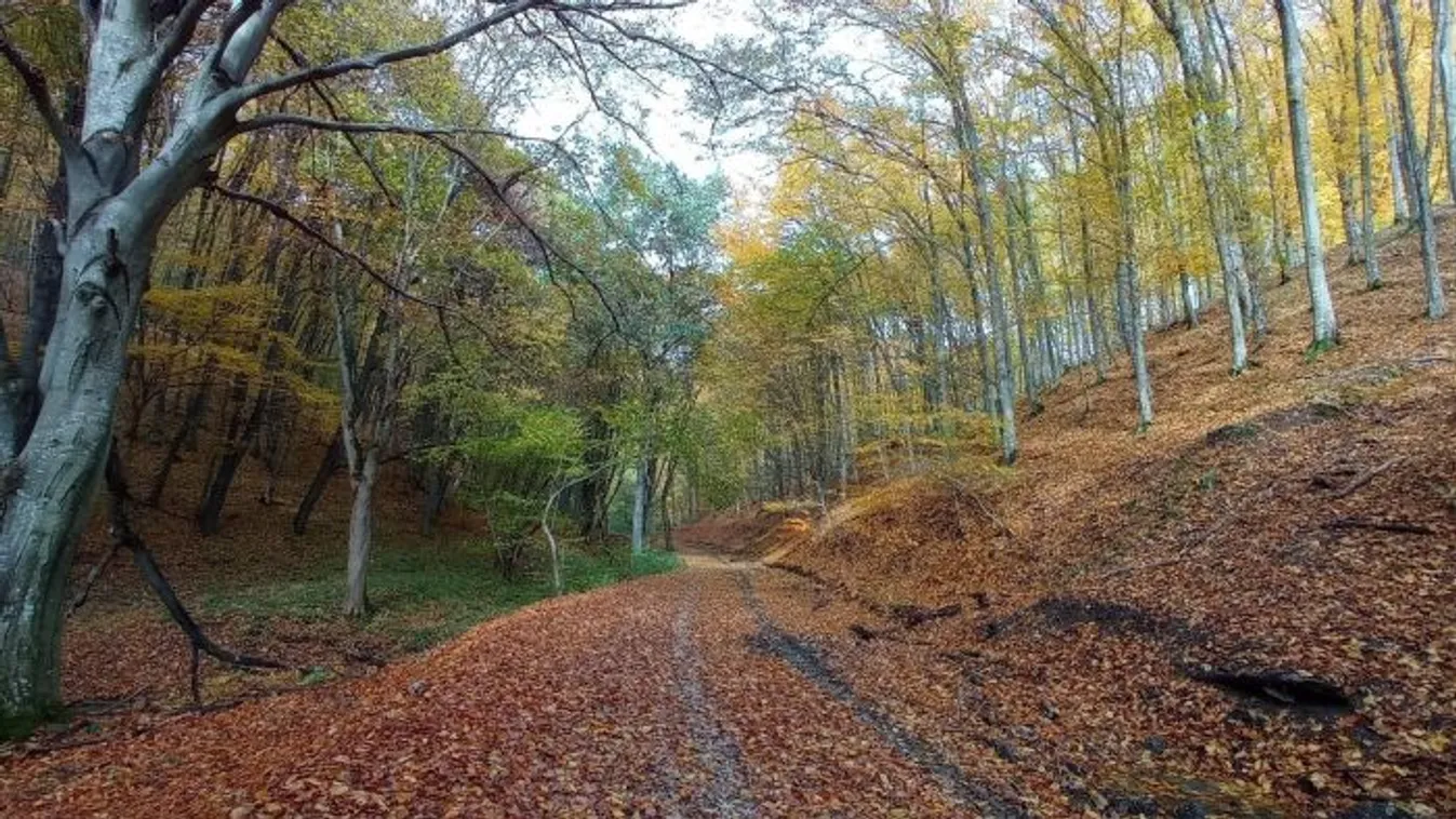 A Vörös-kő hátborzongató legendája