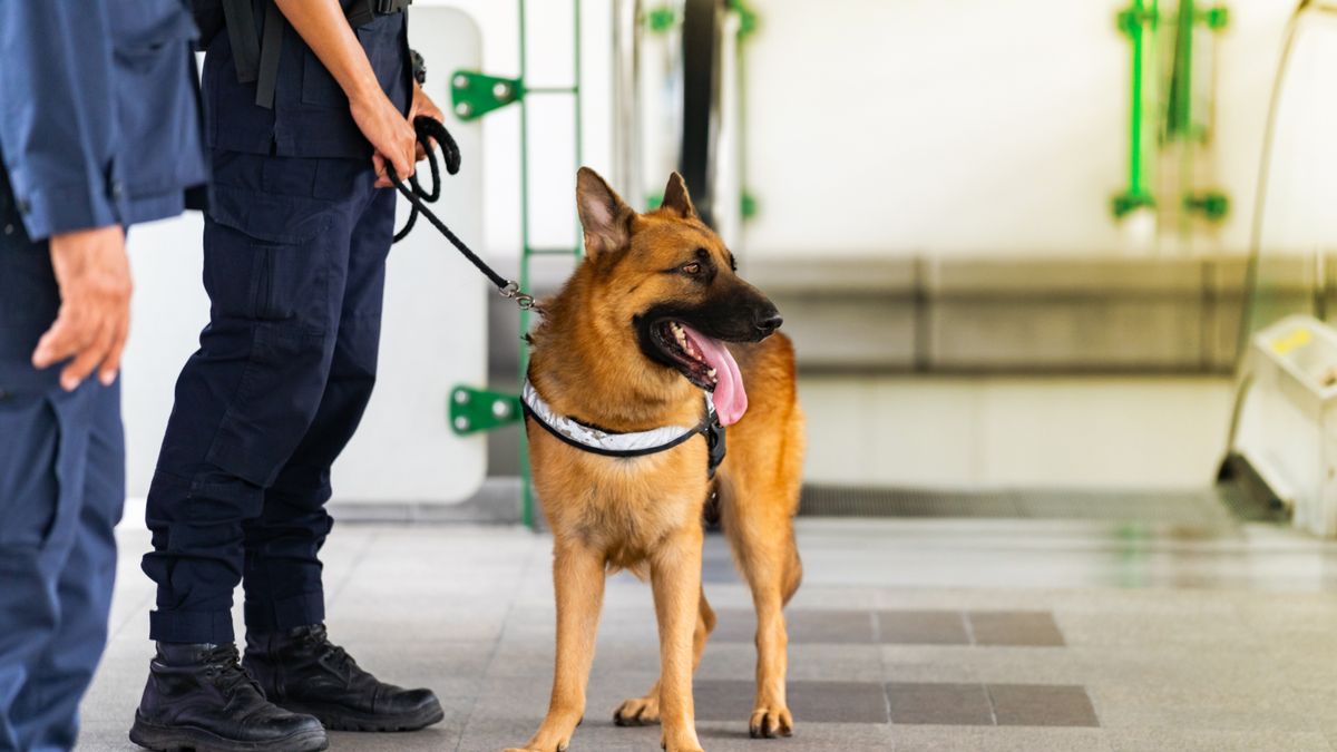 Intimzóna-riasztás a repülőtéren, akcióban a rendőrök