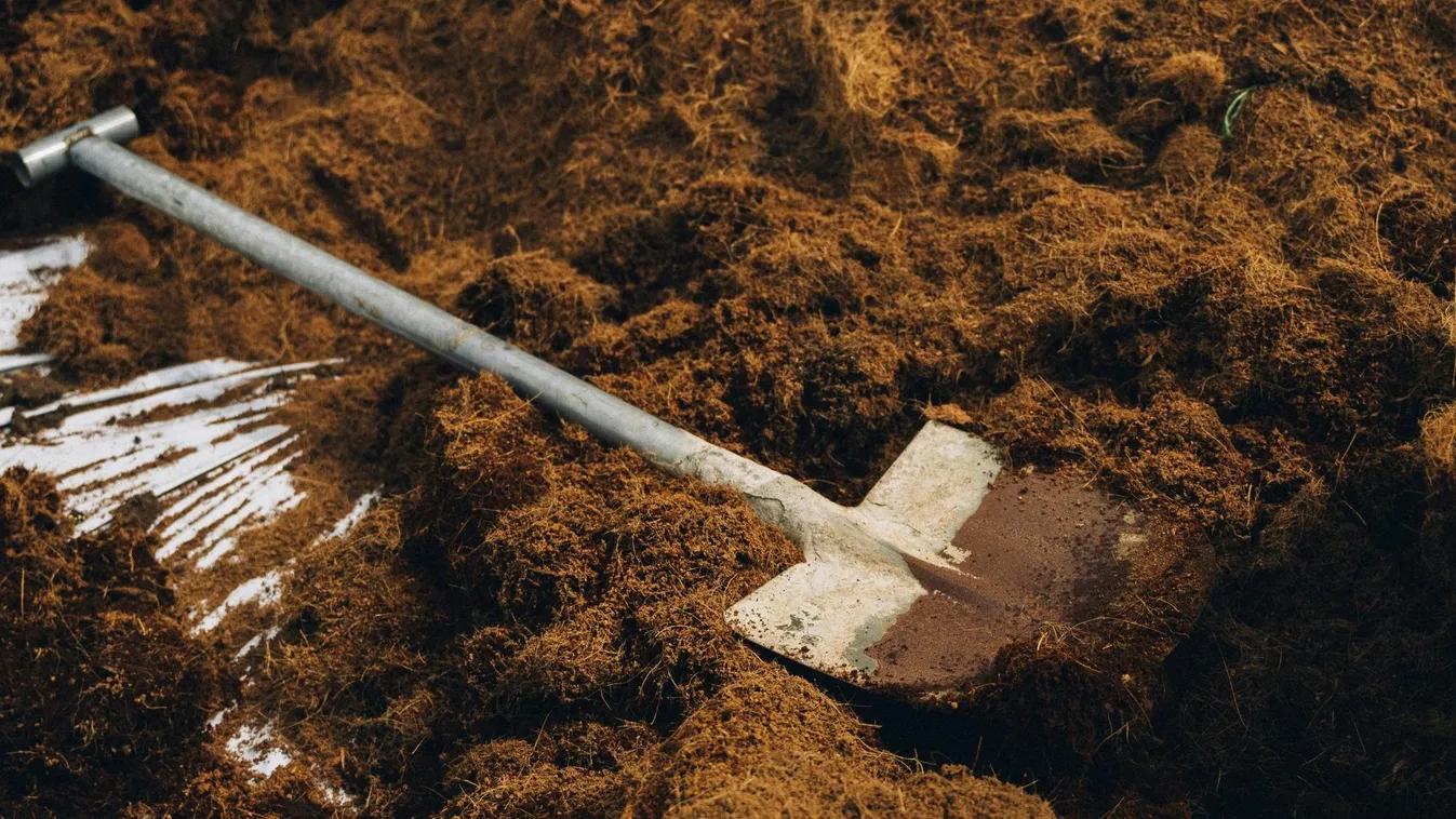 Saját fia életének vetett véget a kegyetlen anya