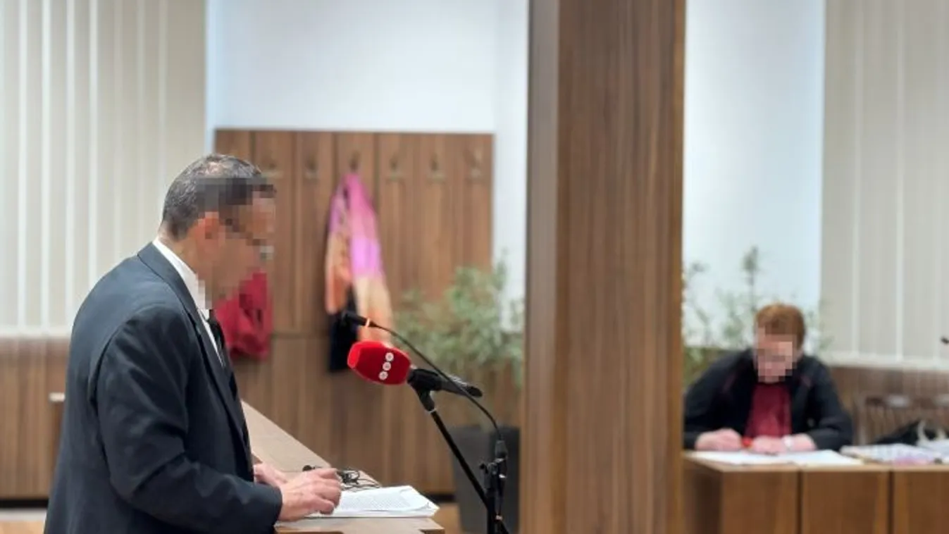 Megszületett az ítélet: 7 évet kapott Gyárfás Tamás