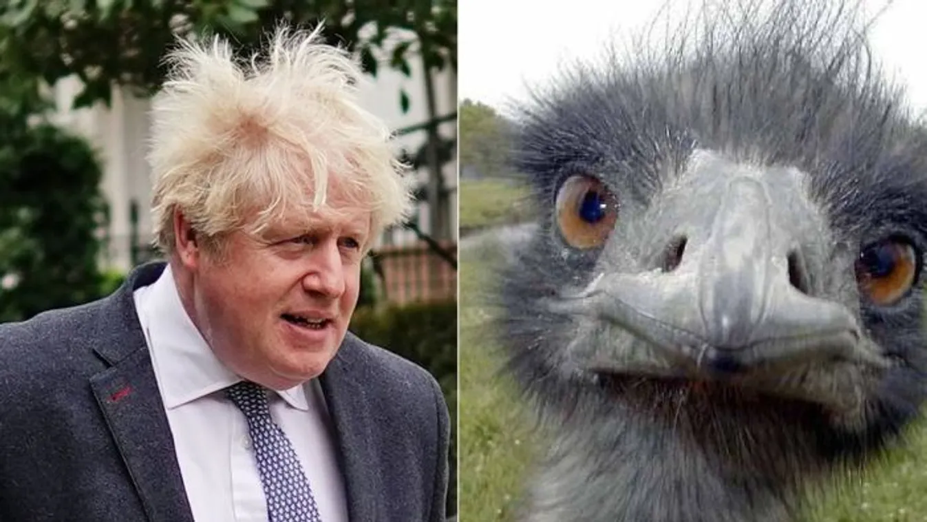 Stucc támadta meg Boris Johnson volt brit miniszterelnököt