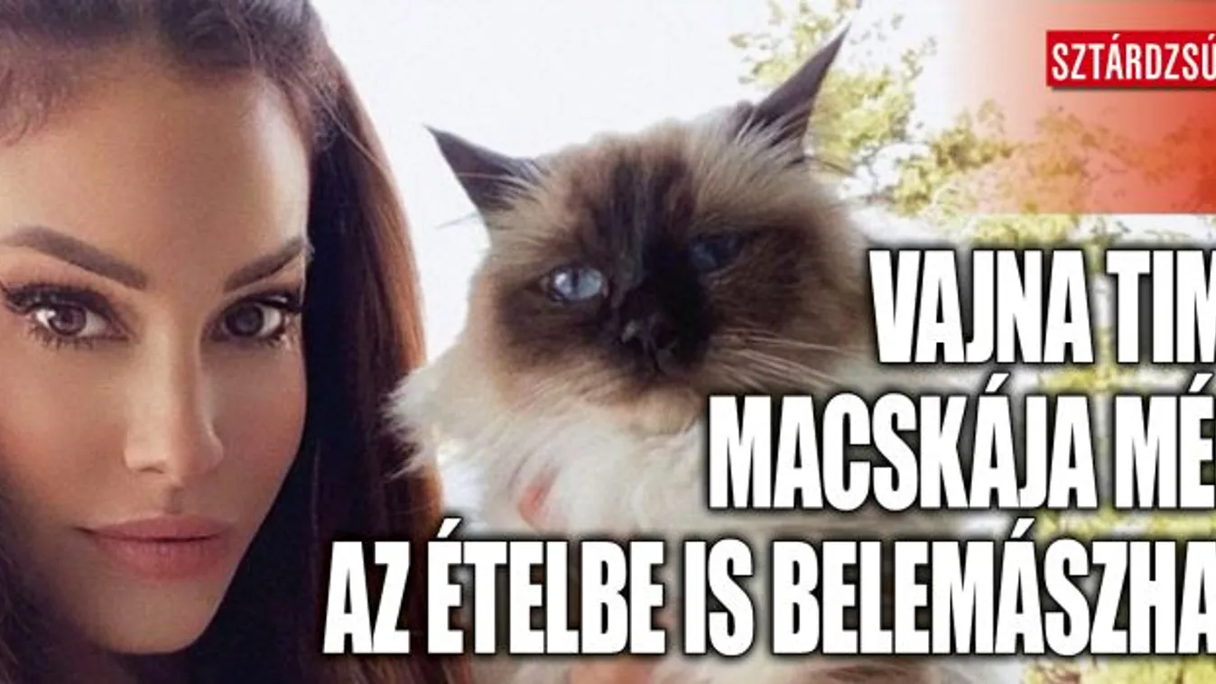 Vajna Tímea macskája az ételbe is belemászhat