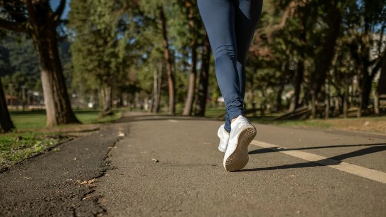 Április 24-én indul a MOSA Emlékgyaloglás