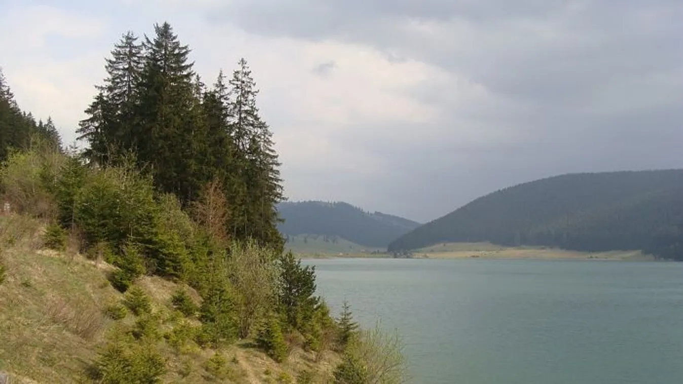 Medve elől menekülő fiatal apáca fulladt a Szépvízi tározóba