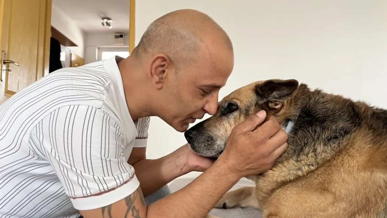 Kutyájával együtt ismét az utcára kerülhet Zoltán