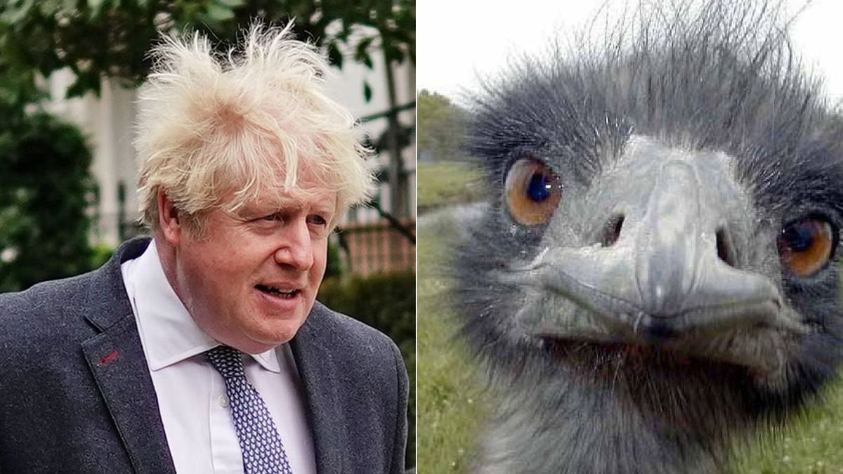Strucc támadta meg Boris Johnson volt brit miniszterelnököt