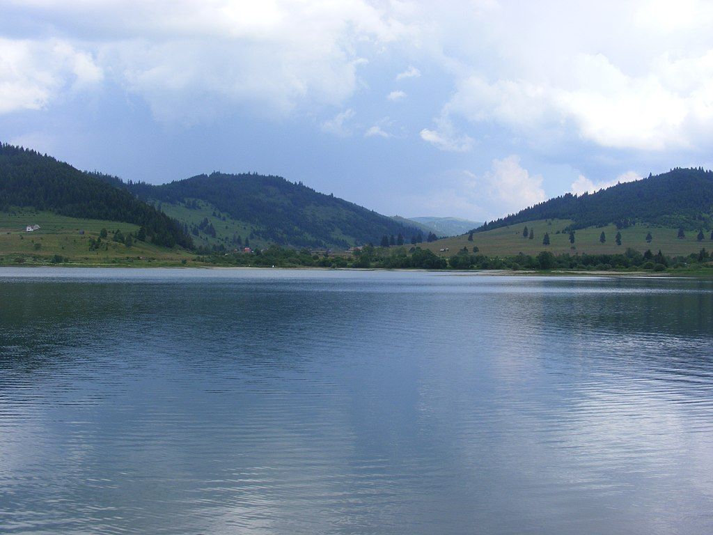 medve