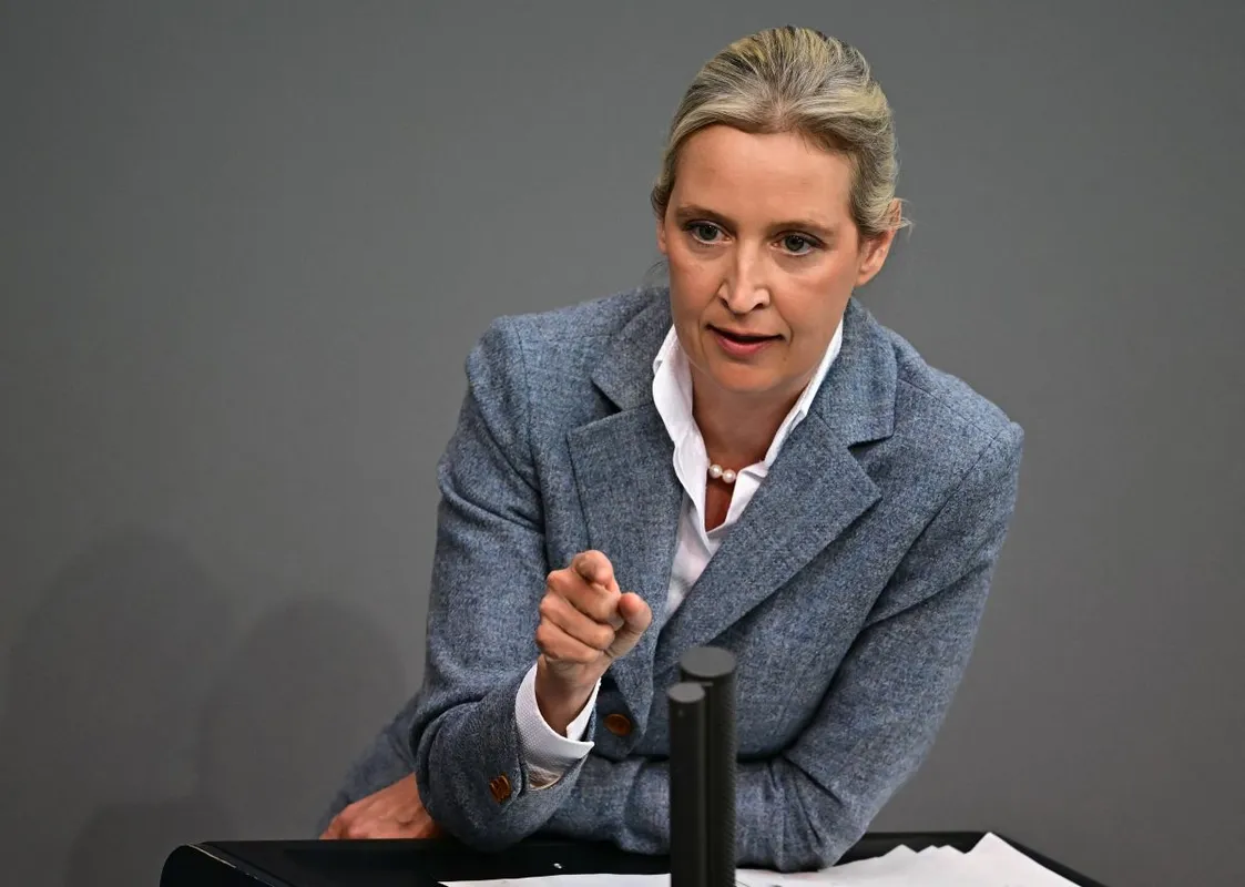 Alice Weidel,Orbán