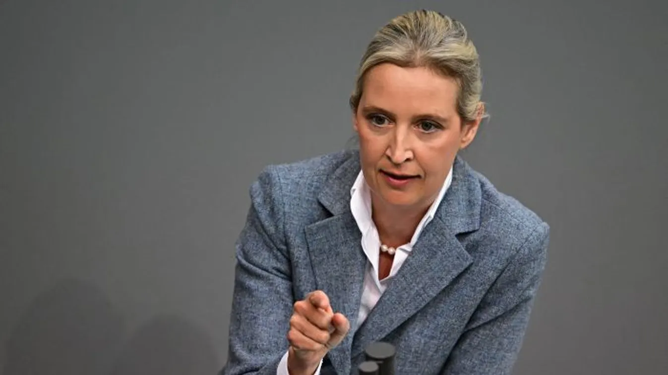 Németország legerősebb pártja az AfD