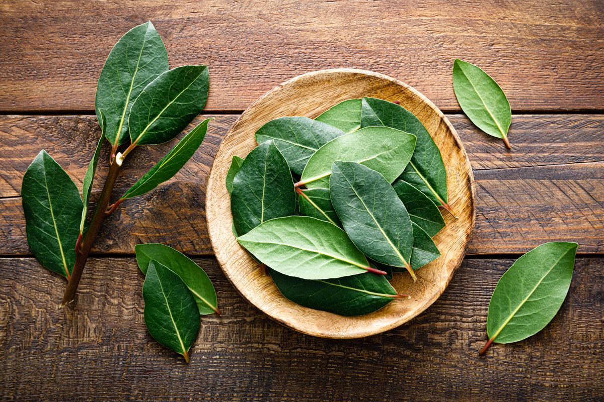 Mosás babérlevéllel Green,Bay,Leaves,On,Wooden,Background.,Laurel,Leaf.,Bay,Laurel
