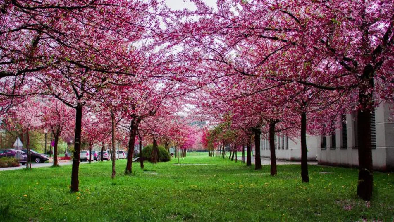 Végre eltehetjük a téli kabátot, beköszönt a tavaszi idő