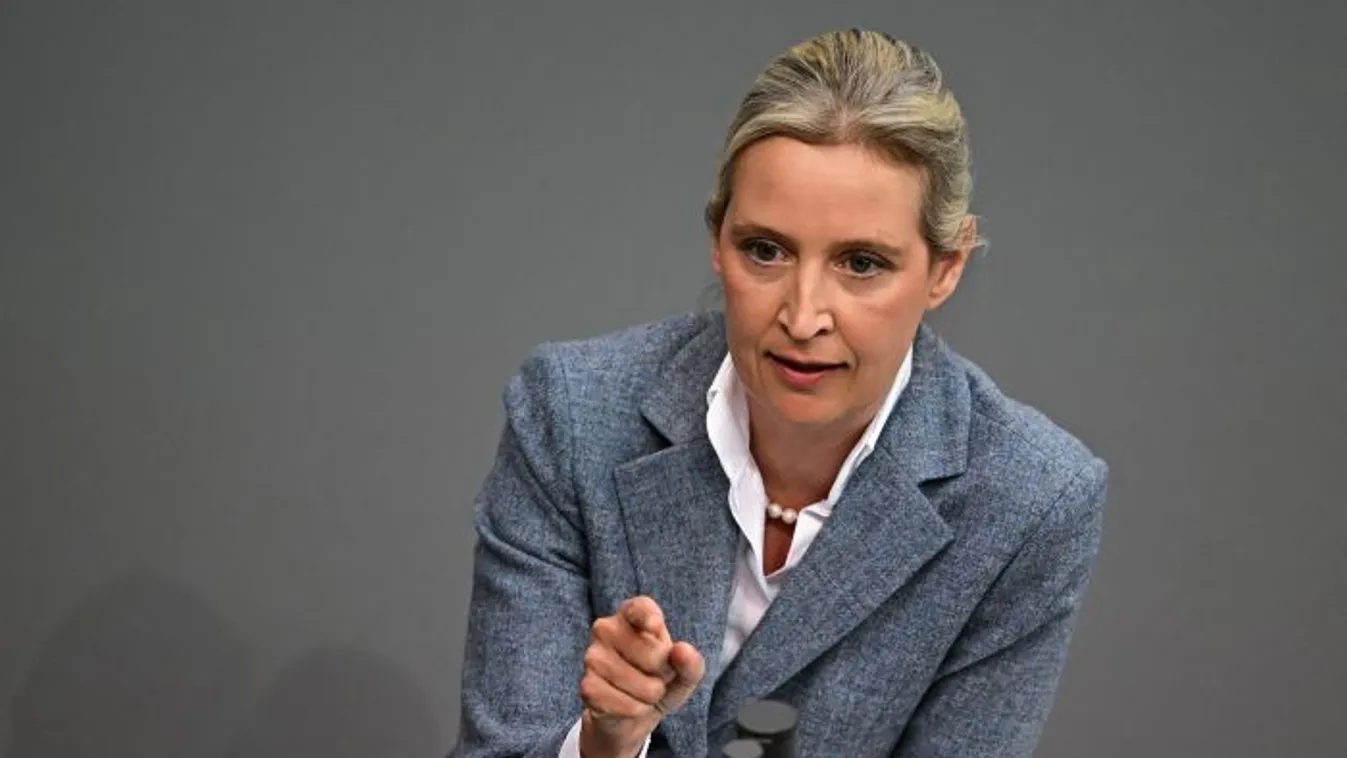 El akarják hallgattatni az AfD-t