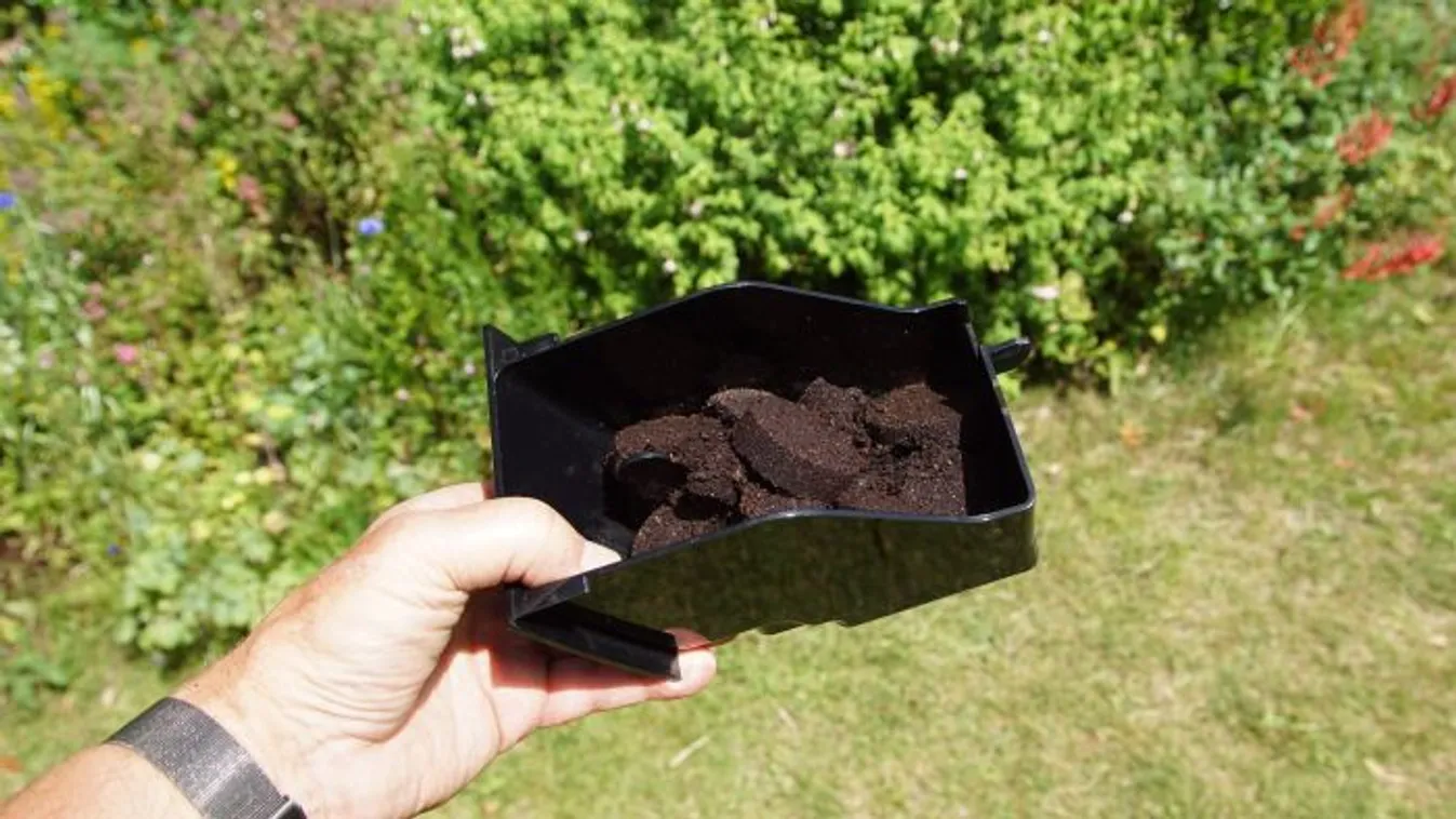 Valóságos csodaszer a kávézacc: öt ok, amiért ne dobd ki!