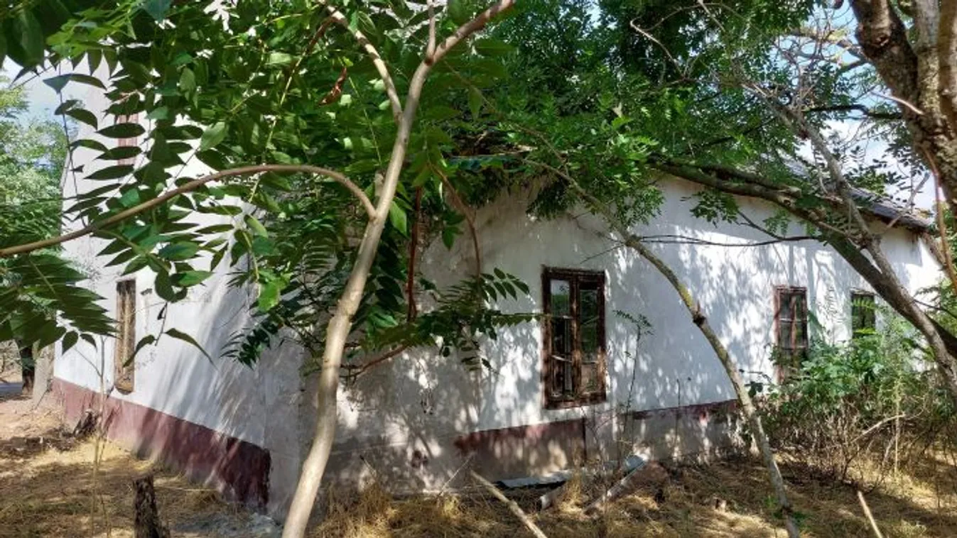 Arany falióra és pálinka: rengeteg kincset rejt a dédi háza