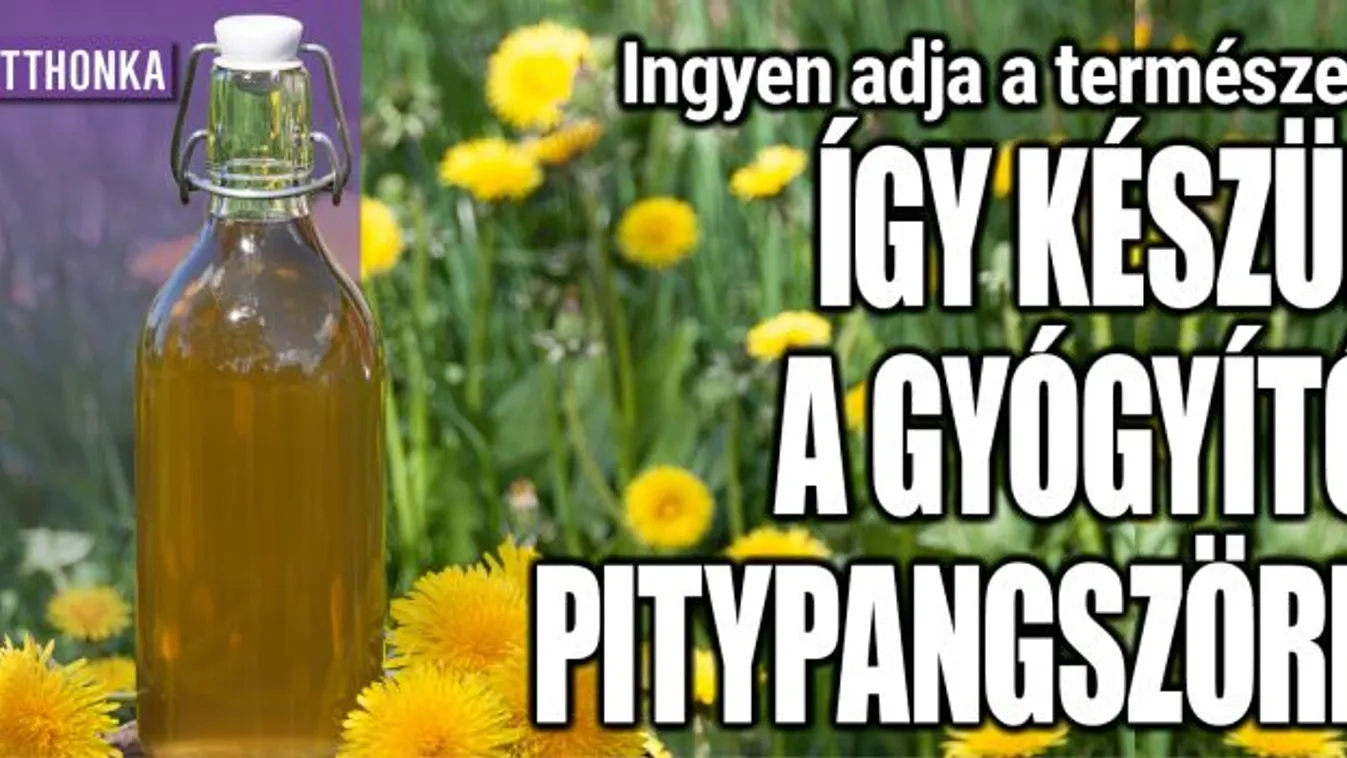 Ingyen adja a természet: így készül a pitypangszörp