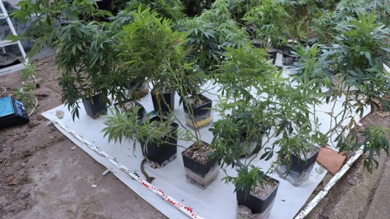 Óriási razziát tartottak Csepelen is