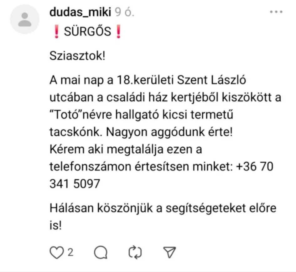 Dudás Miki