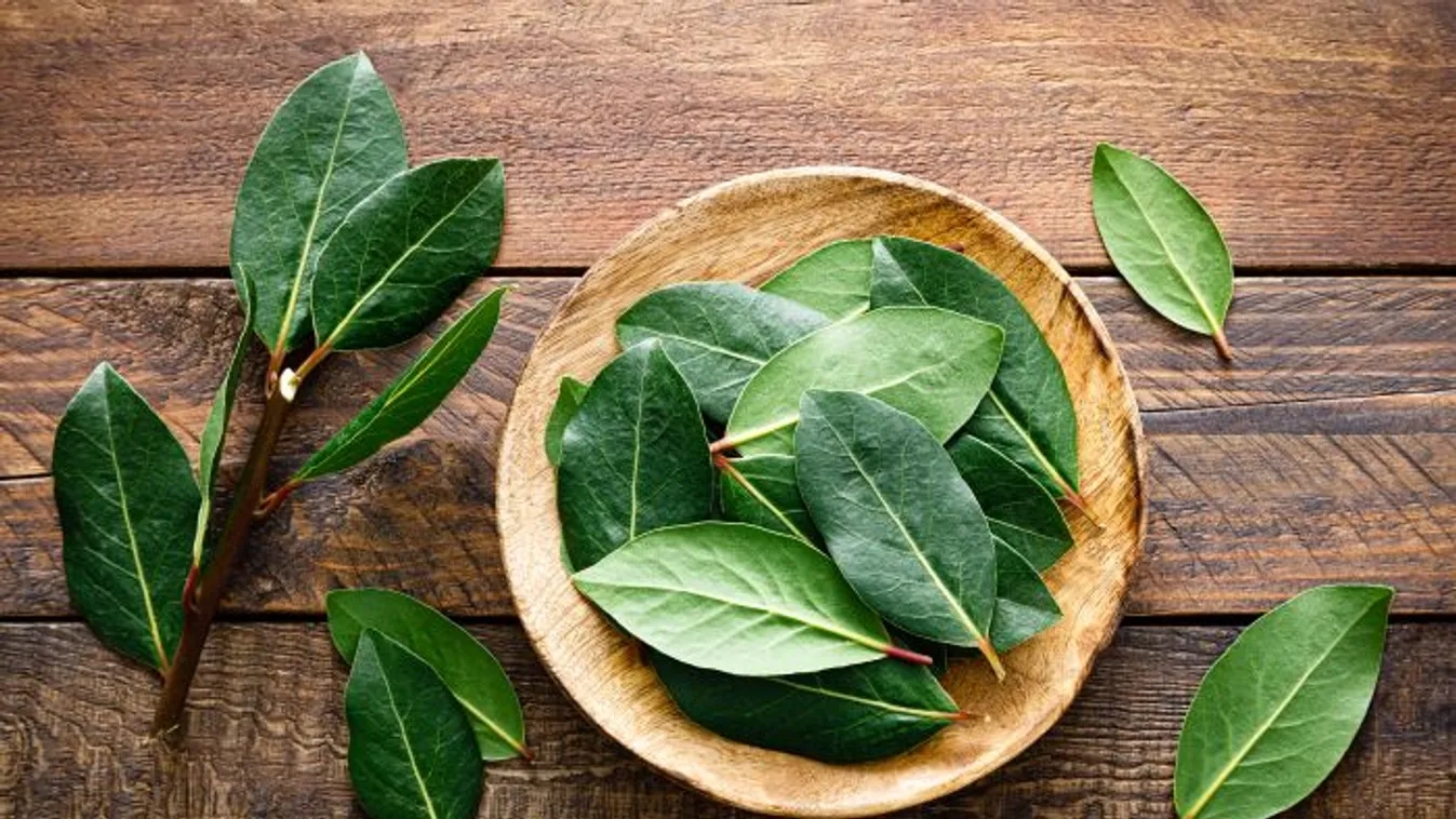 Tegyél babérlevelet a mosásba és nem bánod meg