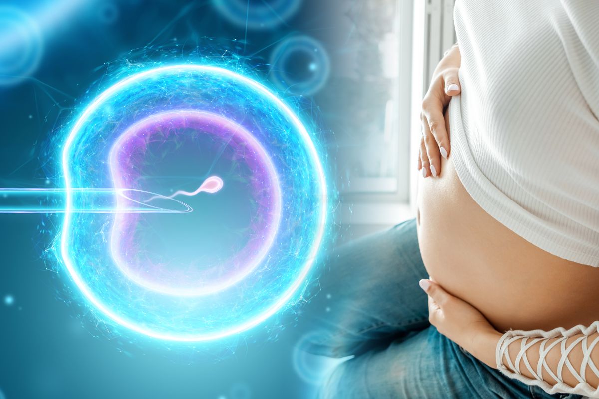 Girl,And,Artificial,Fertilization,Of,An,Egg.,Surgical,Placement,Of