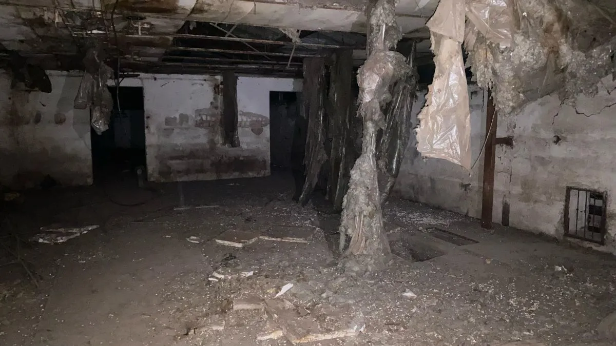 A sertéstelepen megállt az idő /