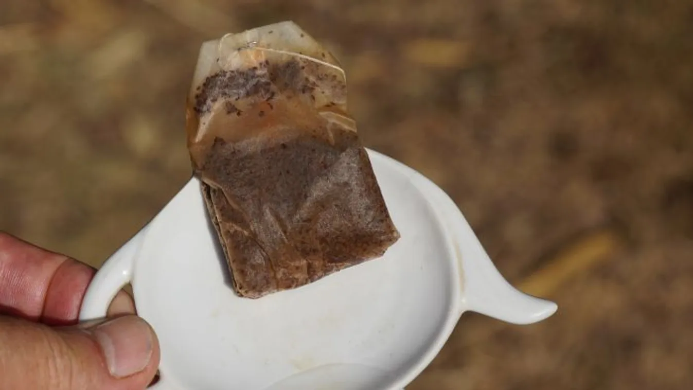 Ne dobd ki a használt teafiltert, aranyat ér a kertben