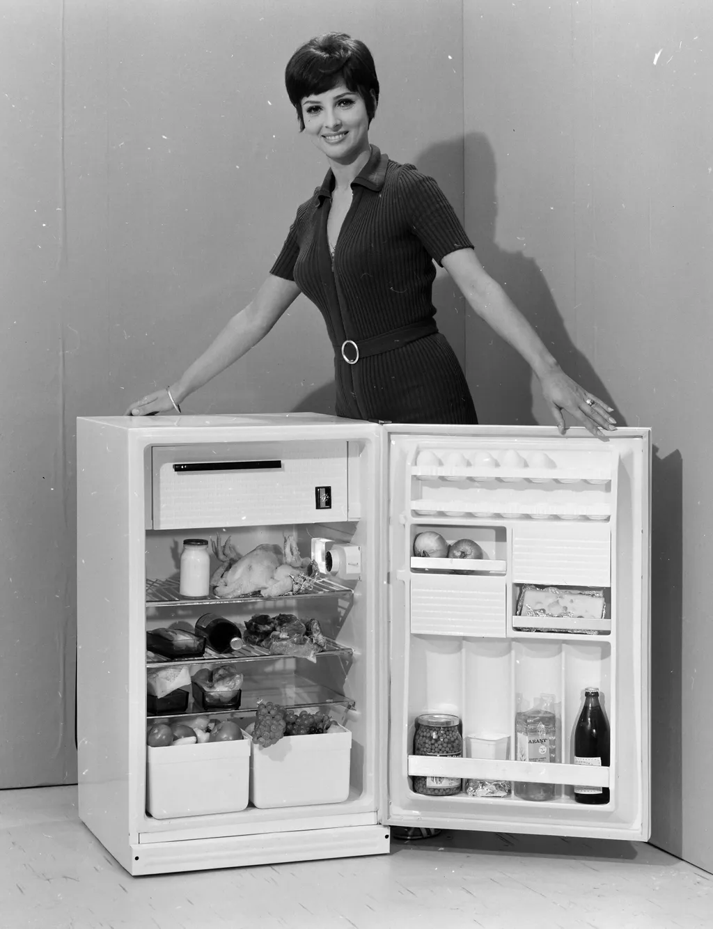 reklámfotó, manöken, hűtőszekrény 1971