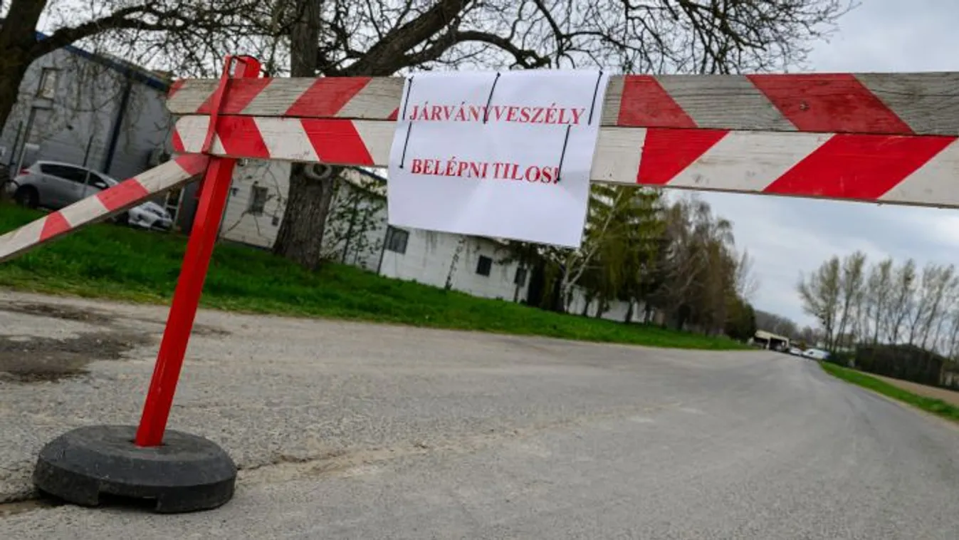 Mesterségesen előállított vírus fertőzi az állatállományt?